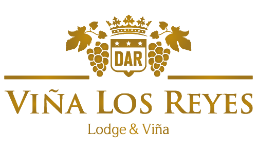 Hotel Viña Los Reyes – Lodge & Viña